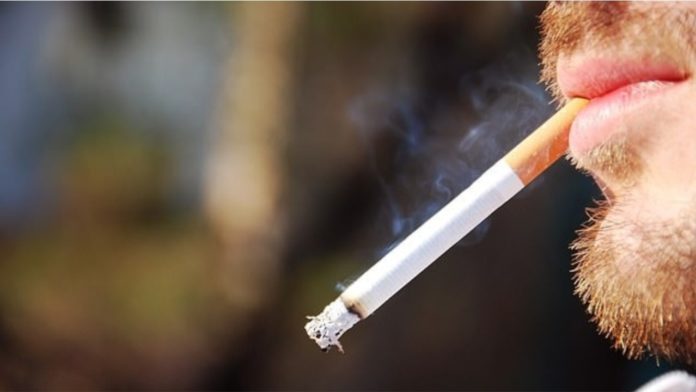 cigarja