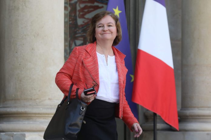 loiseau