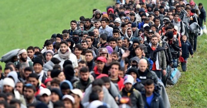 Migrants-Crowds-Cross-Into-Slovenia-Getty-640x480