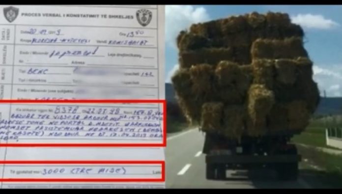 auto_22tur1555929739