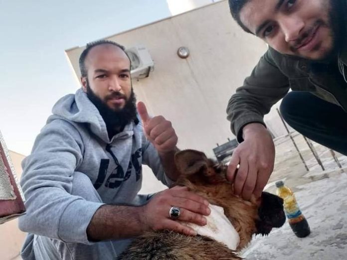 Libia: cane ferito a sud di Tripoli, la foto è virale
