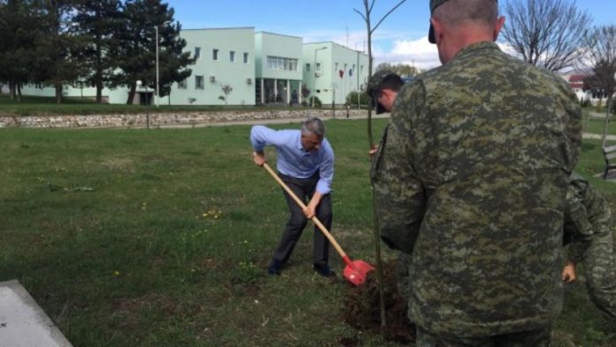 thaci pema