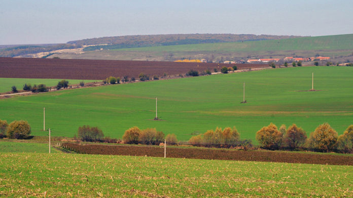 toka