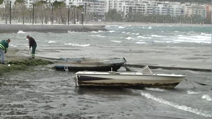vloreq