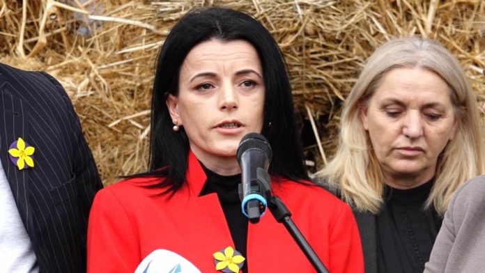 Vasfije-Krasniqi-Goodman-BIRN-e1555318824754