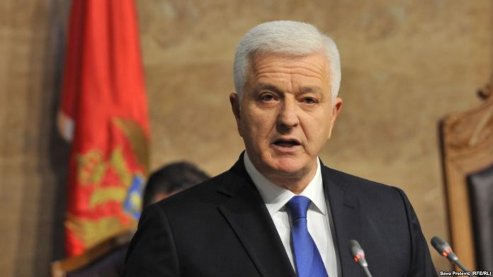 dushko-markoviq1-1