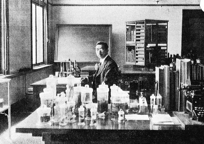 Emperor_Showa_in_laboratory