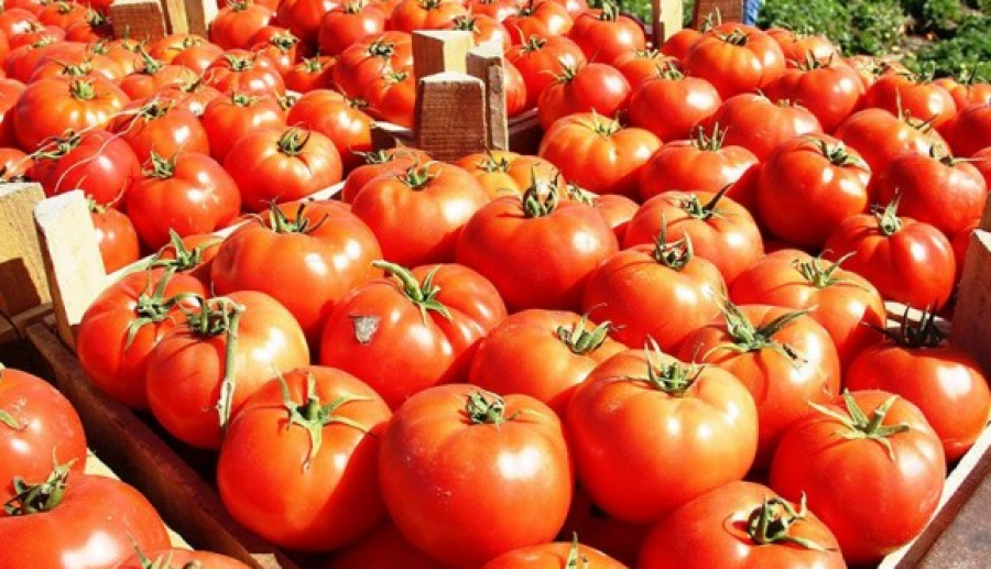 Kosova merr domate nga Shqipëria, por zbulohet skandali me farën e ...