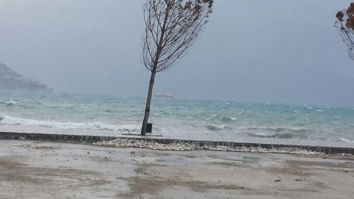 stuhi-ne-vlore