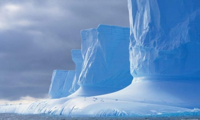 auto_Awesome-Antarctica-Wallpaper-600x3601572371966