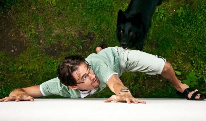 How-to-Get-Over-a-Fear-of-Dogs