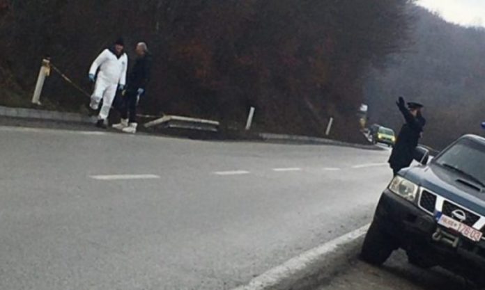 Vrasja e rojes se pyllit