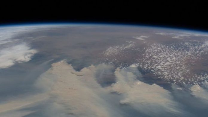 www-5-e1579017327216-780x439
