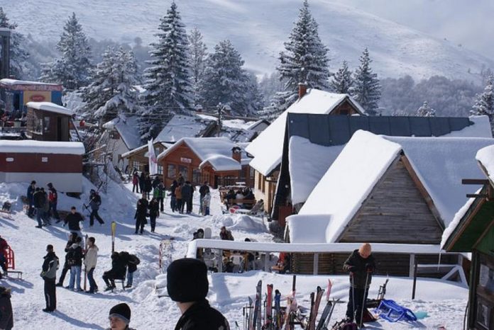 brezovica