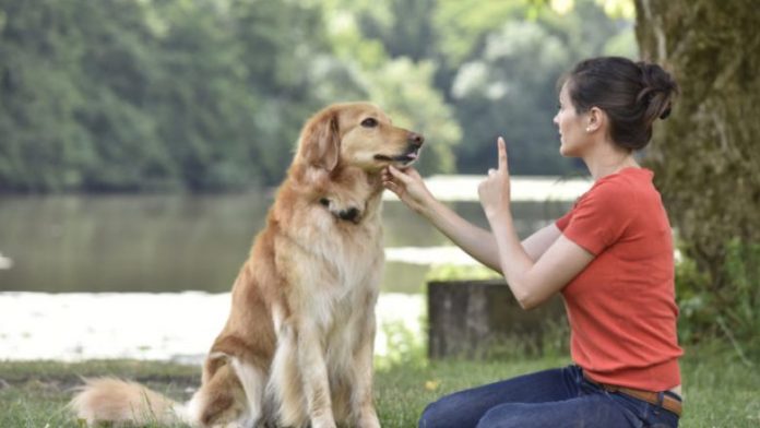 shutterstock_459200512-696x464-1-780x439