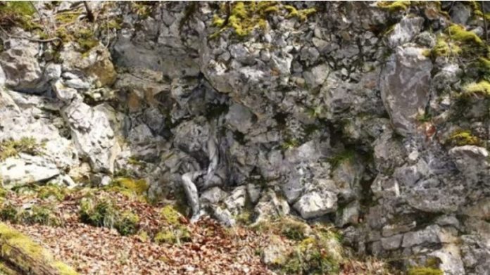 Screenshot_9