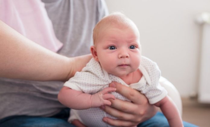 bebe
