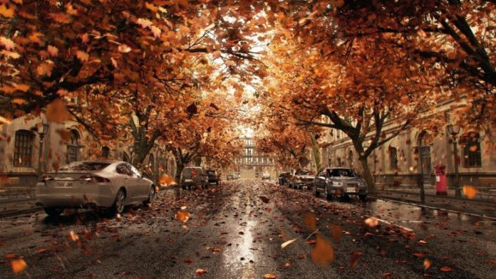 Cars-trees-road-city-leaves-autumn_1600x900-780x439-1