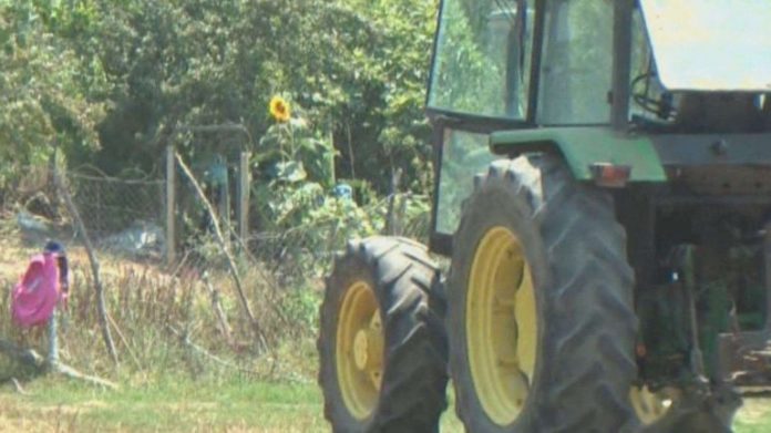 zetor-770x433