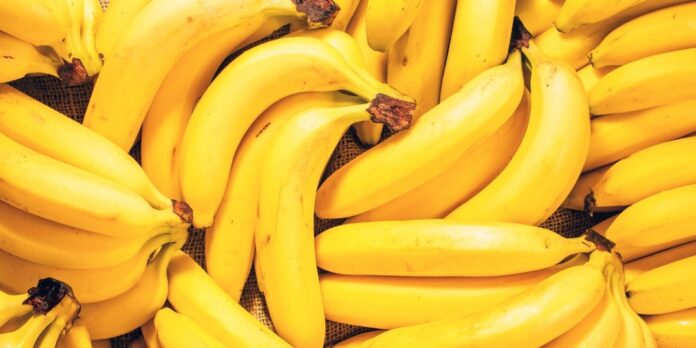 Quand-Carrefour-developpe-nouvelle-variete-banane-T