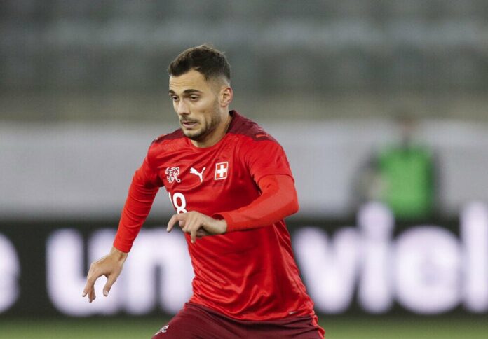 nedim bajrami