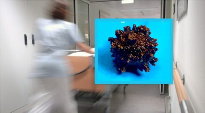 guri-800x441