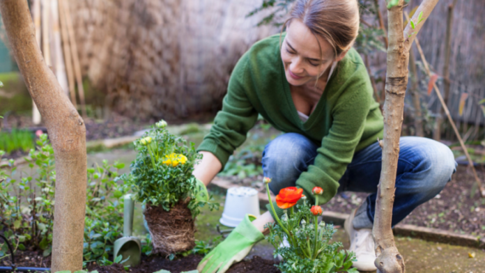 how-to-clean-gardening-tools-780x439