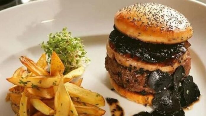 hamburger-1024x576