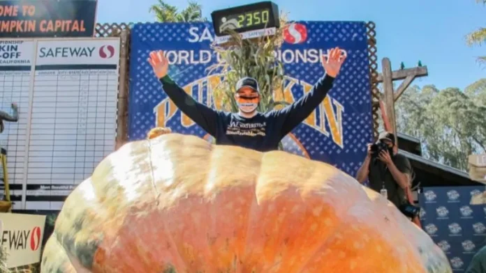 aih-oct-19-2020-travis-gienger-anoka-pumpkin-header