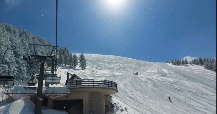 brezovica