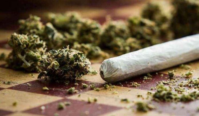 auto_marihuane_753815226659461524480088