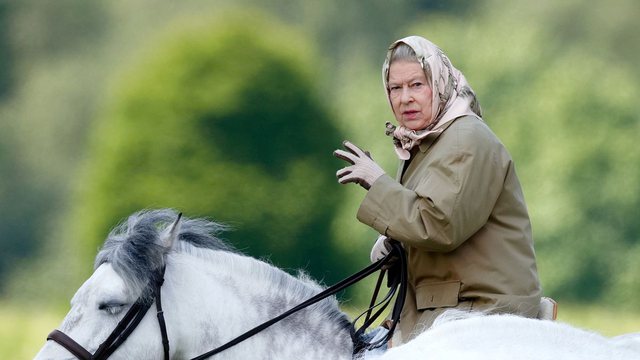 Mbreti Charles shet 12 nga kuajt e trashëguar nga Mbretëresha Elisabeth