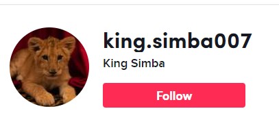Me foto profili luanin e tij, Ervis Martinaj mbante emrin ‘King Simba’ në Instagram. Rrëfen Miss-i